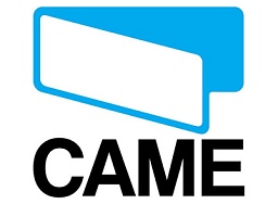 Саме